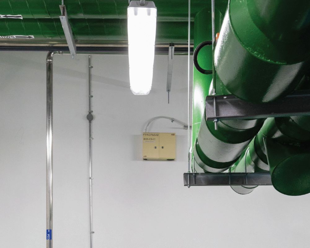 Artboard 65_1antrix_img